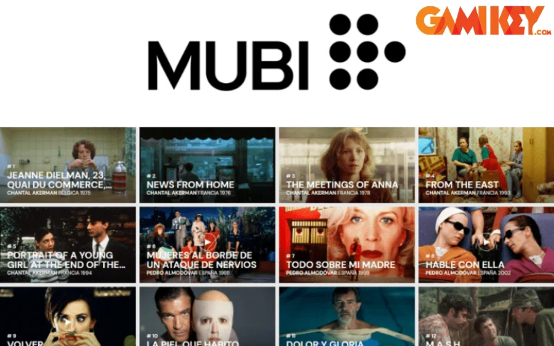 MUBI Premium — 12-Month Curated Arthouse & Festival Cinema Account